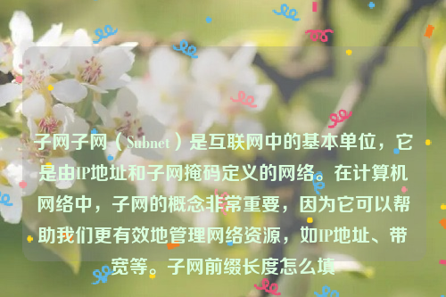 子网子网（Subnet）是互联网中的基本单位，它是由IP地址和子网掩码定义的网络。在计算机网络中，子网的概念非常重要，因为它可以帮助我们更有效地管理网络资源，如IP地址、带宽等。子网前缀长度怎么填