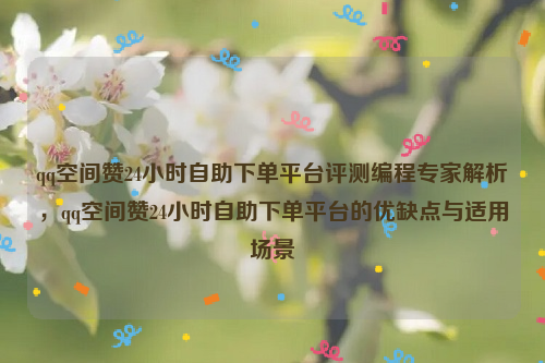 qq空间赞24小时自助下单平台评测编程专家解析，qq空间赞24小时自助下单平台的优缺点与适用场景