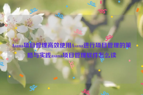 Asana项目管理高效使用Asana进行项目管理的策略与实践asana项目管理软件怎么读