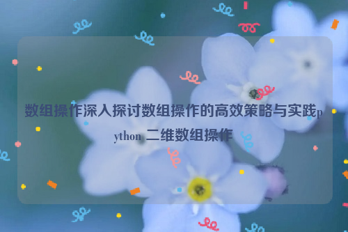 数组操作深入探讨数组操作的高效策略与实践python 二维数组操作
