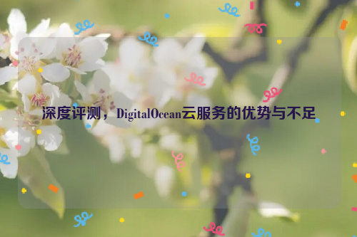 深度评测，DigitalOcean云服务的优势与不足