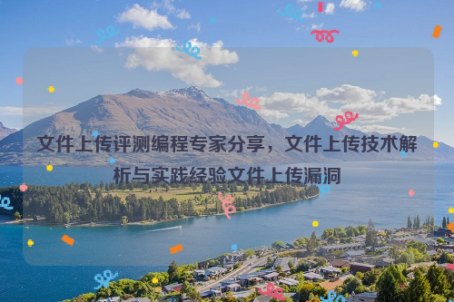 文件上传评测编程专家分享，文件上传技术解析与实践经验文件上传漏洞