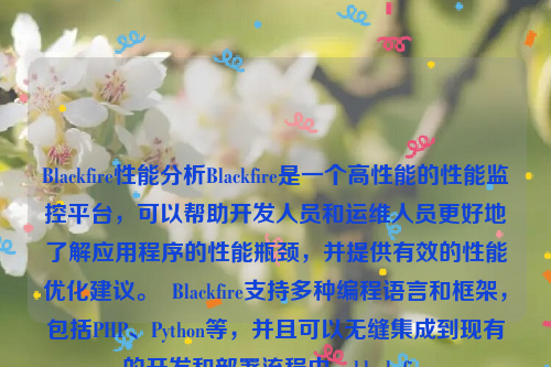 Blackfire性能分析Blackfire是一个高性能的性能监控平台，可以帮助开发人员和运维人员更好地了解应用程序的性能瓶颈，并提供有效的性能优化建议。  Blackfire支持多种编程语言和框架，包括PHP、Python等，并且可以无缝集成到现有的开发和部署流程中。black fire