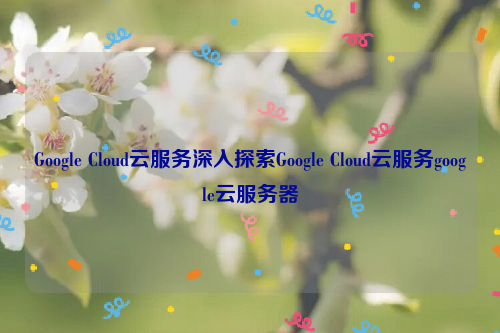 Google Cloud云服务深入探索Google Cloud云服务google云服务器
