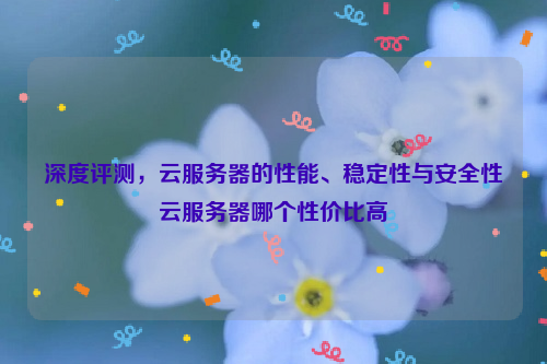 深度评测，云服务器的性能、稳定性与安全性云服务器哪个性价比高