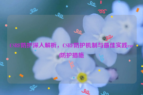CSRF防护深入解析，CSRF防护机制与最佳实践csrf防护措施