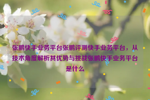 张鹏快手业务平台张鹏评测快手业务平台，从技术角度解析其优势与挑战张鹏快手业务平台是什么