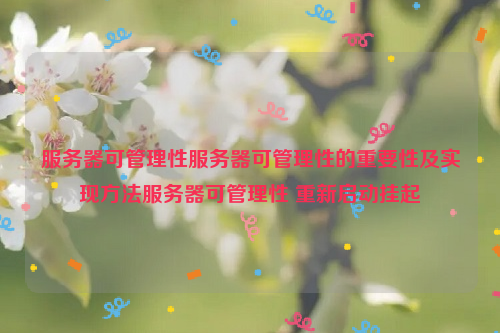 服务器可管理性服务器可管理性的重要性及实现方法服务器可管理性 重新启动挂起