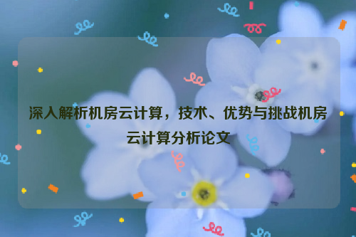深入解析机房云计算，技术、优势与挑战机房云计算分析论文