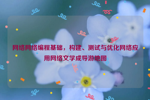 网络网络编程基础，构建、测试与优化网络应用网络文学成导游地图