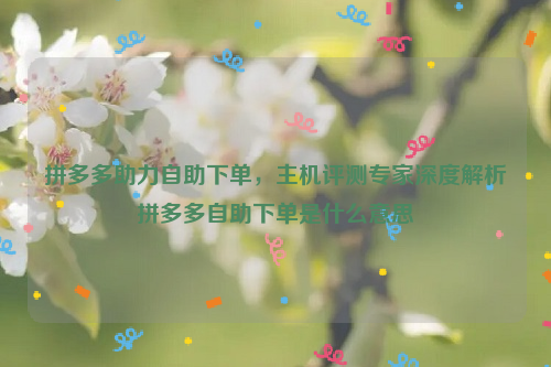 拼多多助力自助下单，主机评测专家深度解析拼多多自助下单是什么意思