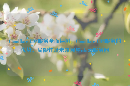 Cloudflare CDN服务全面评测，Cloudflare CDN服务的优势、局限性及未来展望cdn云服务器