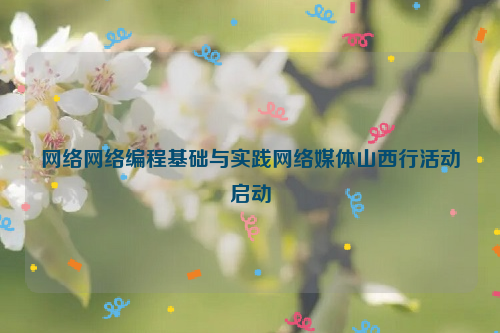 网络网络编程基础与实践网络媒体山西行活动启动