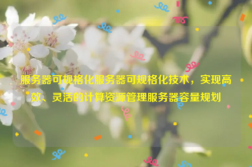 服务器可规格化服务器可规格化技术，实现高效、灵活的计算资源管理服务器容量规划