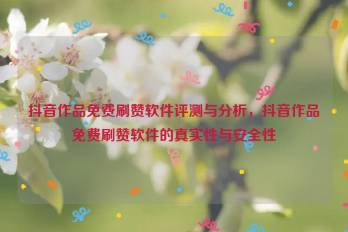 抖音作品免费刷赞软件评测与分析，抖音作品免费刷赞软件的真实性与安全性