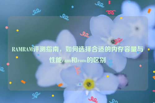 RAMRAM评测指南，如何选择合适的内存容量与性能ram和rom的区别