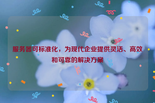 服务器可标准化，为现代企业提供灵活、高效和可靠的解决方案