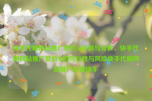 快手代刷网站推广低价50评测与分析，快手代刷网站推广低价50的可行性与风险快手代刷网站推广链接快手