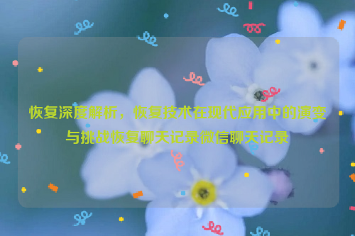 恢复深度解析，恢复技术在现代应用中的演变与挑战恢复聊天记录微信聊天记录