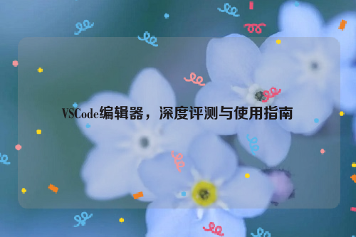 VSCode编辑器，深度评测与使用指南