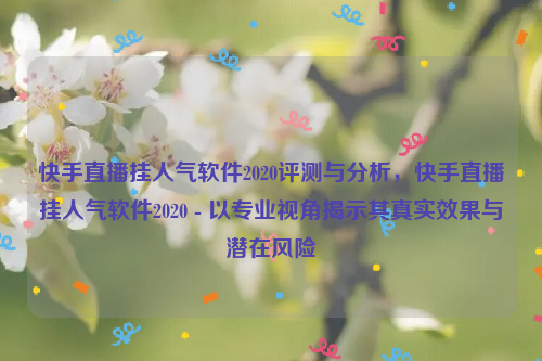 快手直播挂人气软件2020评测与分析，快手直播挂人气软件2020 - 以专业视角揭示其真实效果与潜在风险
