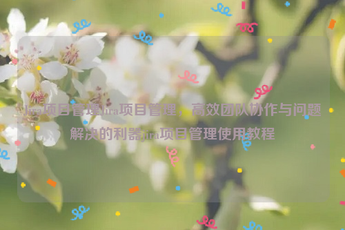 Jira项目管理Jira项目管理，高效团队协作与问题解决的利器jira项目管理使用教程