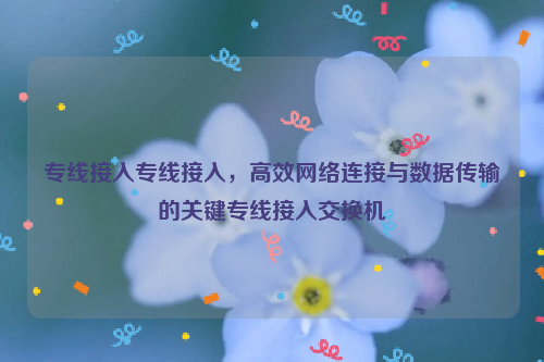 专线接入专线接入，高效网络连接与数据传输的关键专线接入交换机