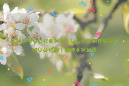 服务器可负载化服务器可负载化技术详解服务器负载适用于哪种业务场景