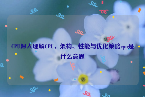 CPU深入理解CPU，架构、性能与优化策略cpu是什么意思