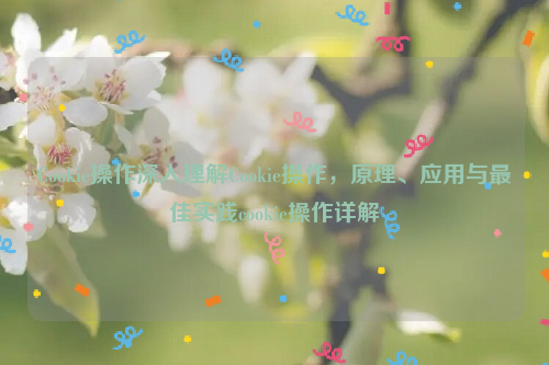 Cookie操作深入理解Cookie操作，原理、应用与最佳实践cookie操作详解