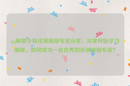 qq刷赞小林评测编程专家分享，从零开始学习编程，如何成为一名优秀的评测编程专家？