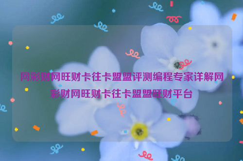 网彩财网旺财卡往卡盟盟评测编程专家详解网彩财网旺财卡往卡盟盟旺财平台