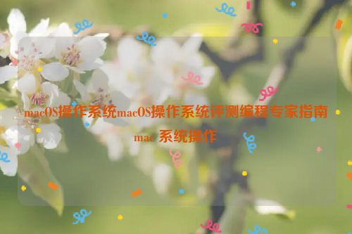 macOS操作系统macOS操作系统评测编程专家指南mac 系统操作