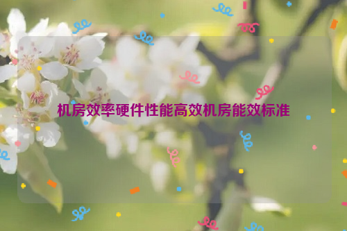 机房效率硬件性能高效机房能效标准