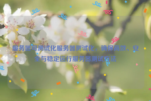服务器可测试化服务器测试化，确保高效、安全与稳定运行服务器测试方法