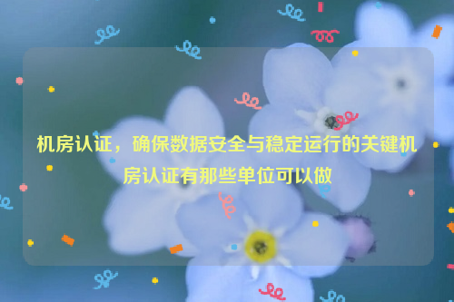 机房认证，确保数据安全与稳定运行的关键机房认证有那些单位可以做