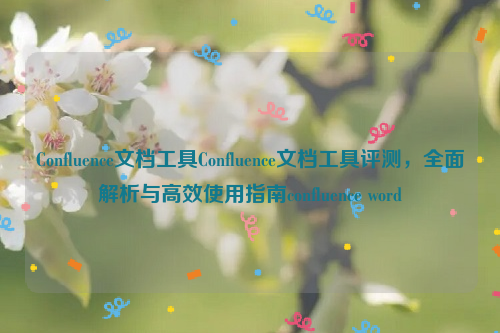 Confluence文档工具Confluence文档工具评测，全面解析与高效使用指南confluence word
