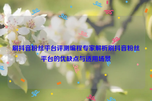 刷抖音粉丝平台评测编程专家解析刷抖音粉丝平台的优缺点与适用场景