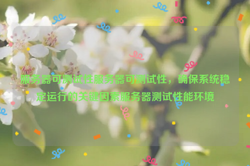 服务器可测试性服务器可测试性，确保系统稳定运行的关键因素服务器测试性能环境