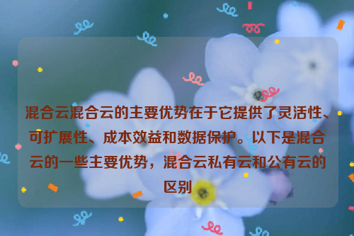 混合云混合云的主要优势在于它提供了灵活性、可扩展性、成本效益和数据保护。以下是混合云的一些主要优势，混合云私有云和公有云的区别