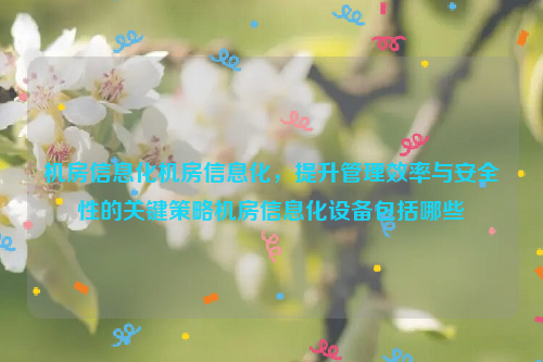 机房信息化机房信息化，提升管理效率与安全性的关键策略机房信息化设备包括哪些
