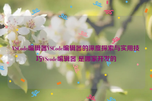 VSCode编辑器VSCode编辑器的深度探索与实用技巧VScode编辑器 是哪家开发的