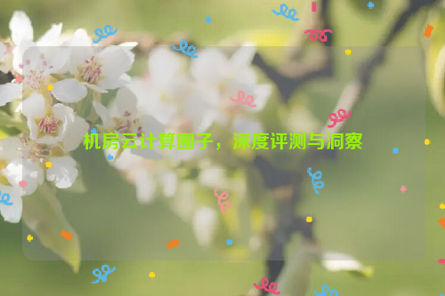 机房云计算圈子，深度评测与洞察