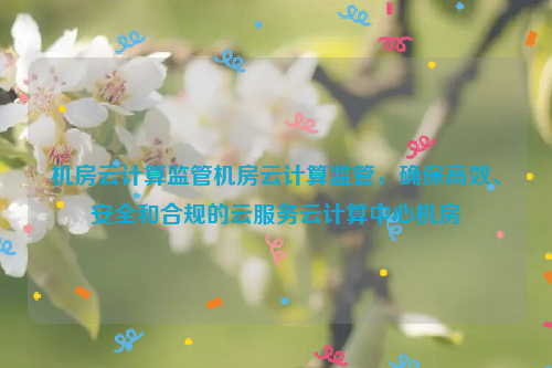 机房云计算监管机房云计算监管，确保高效、安全和合规的云服务云计算中心机房