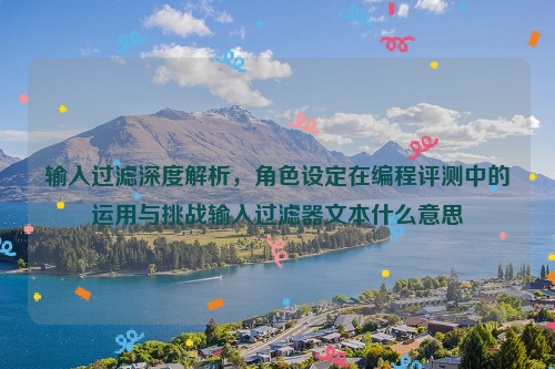 输入过滤深度解析，角色设定在编程评测中的运用与挑战输入过滤器文本什么意思