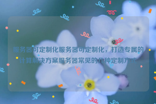 服务器可定制化服务器可定制化，打造专属的计算解决方案服务器常见的几种定制方式
