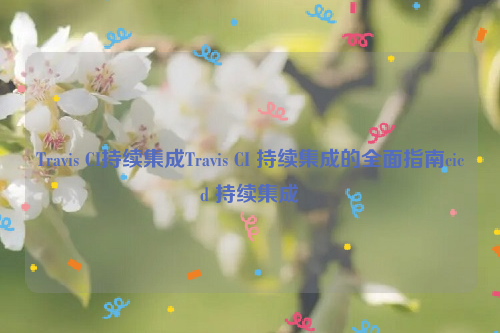 Travis CI持续集成Travis CI 持续集成的全面指南cicd 持续集成