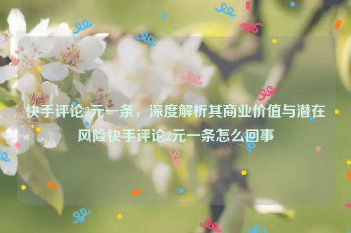 快手评论2元一条，深度解析其商业价值与潜在风险快手评论2元一条怎么回事