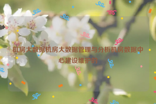 机房大数据机房大数据管理与分析机房数据中心建设维护的
