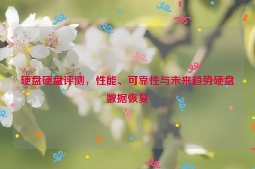 硬盘硬盘评测，性能、可靠性与未来趋势硬盘数据恢复